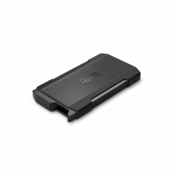 SANDISK PROFESSIONAL OBUDOWA PRO-BLADE SSD M.2 Transport 0TB WW