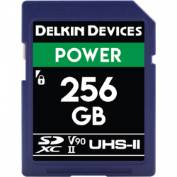 Delkin SD Power 2000X UHS-II U3 (V90) R300/W250 256GB-2477171