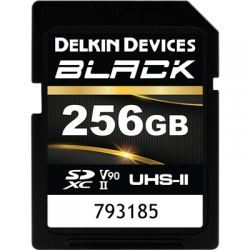 Delkin SD BLACK Rugged UHS-II (V90) R300/W250 256GB (new)-2497805