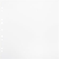 Focus Carton Refillsheets for Ringbinder Gigant White 10-pack-2652519