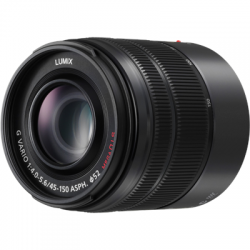 Panasonic Lumix G Vario 45-150mm F/4.0-5.6 ASPH Mega O.I.S.-2655262