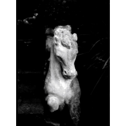 KONO Film Slow Black&White ISO 6 Pack of 3