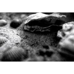 KONO Film Slow Black&White ISO 6 Pack of 3