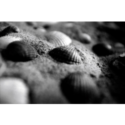 KONO Film Slow Black&White ISO 6 Pack of 3