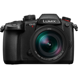 Panasonic GH5M2 12-60/2.8-4 Leica-2654371