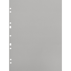 Focus Carton Refillsheets for Ringbinder A4 Grey 30-pack-2653467
