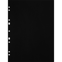 Focus Carton Refillsheets for ringbinder A4 Black 30-pack-2653468
