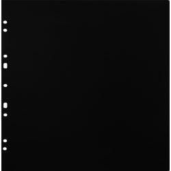 Focus Carton Refillsheets for Ringbinder Gigant Black 10-pack-2653470