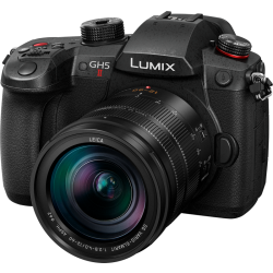 Panasonic GH5M2 12-60/2.8-4 Leica-2654372