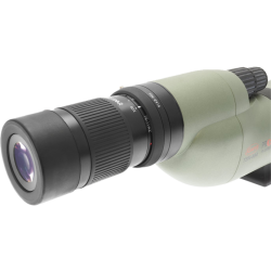 Kowa Extender 1,6x TSN-EX16 for TSN-66/88/99 Serie