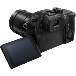Panasonic GH5M2 12-60/3.5-5.6