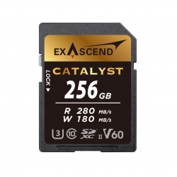 Karta pamięci ExAscend Catalyst UHS-II V60 256GB