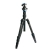 Benro statyw iFOTO FIF19CIB0-2436403
