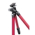 Leofoto statyw Athena LA-284C+LH-30-2474012