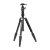 Statyw Fotopro X-go Gecko E2 z głowicą kulową FPH-42QP-2553243