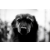 KONO Film Slow Black&White ISO 6 Pack of 3