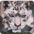 SmallRig 6038 Camera Wrap  Wild China Film Series Snow Leopard Pattern