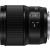 Panasonic Lumix S 100mm F/2.8 macro