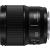 Panasonic Lumix S 100mm F/2.8 macro