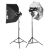 Quadralite Move X 300 Kit-2425800
